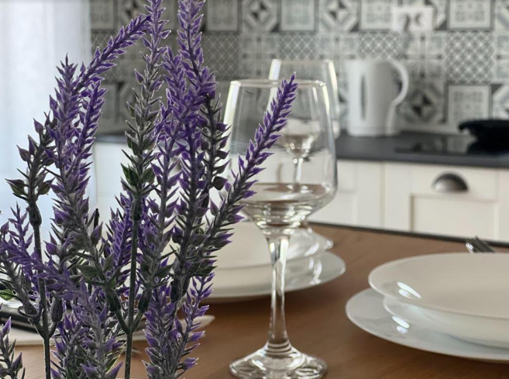 Premont Studios Ghimbav Εξωτερικό φωτογραφία