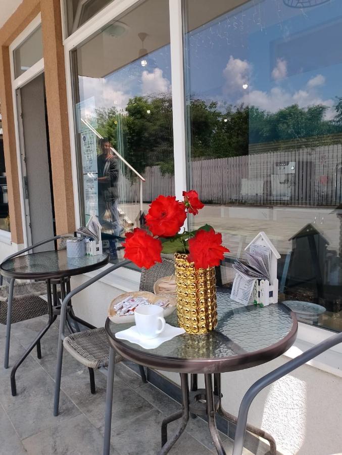Premont Studios Ghimbav Εξωτερικό φωτογραφία